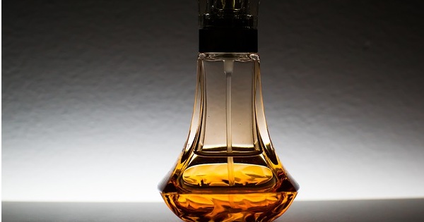 Penis Enlargement Oil: The 3 E’s of Erectile Enhancement